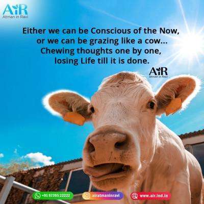 toxic people quotes  good morning inspirational quotes  feminist quotes  broken heart quotes  sad quotes about life