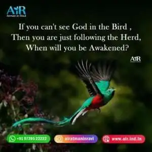 easter quotes | abraham lincoln quotes | determination quotes | patience quotes | words of appreciation | letting go quotes