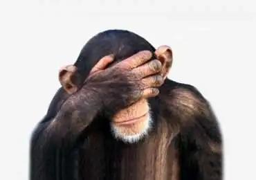 Who are you & why are you here?