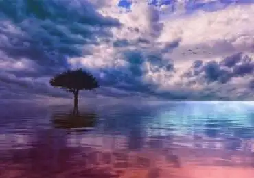 mind-mindset-peace of mind-state of mind-happiness-happy thoughts-being-happy-be happy-always be happy-my happiness-ego-mind-mindset-peace of mind-body-human body